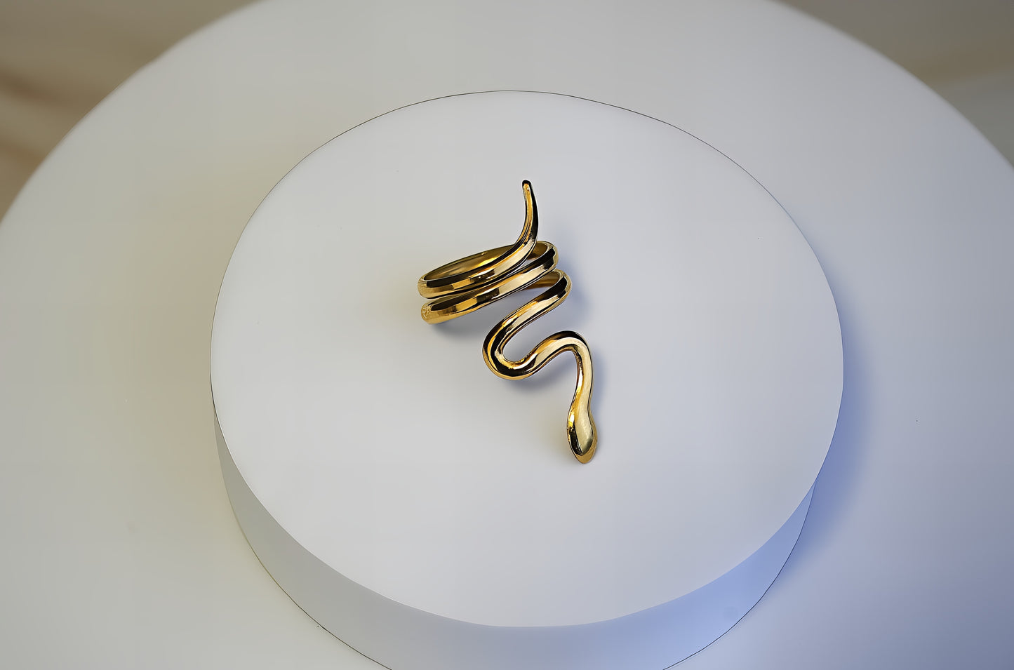 ANELLO A FASCIA CON SERPENTE ARROTOLATO